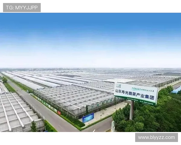 寿光企业家创新发展之路:推动农业现代化与绿色经济融合共赢 寿光企业家创新发展之路:推动农业现代化与绿色经济融合共赢